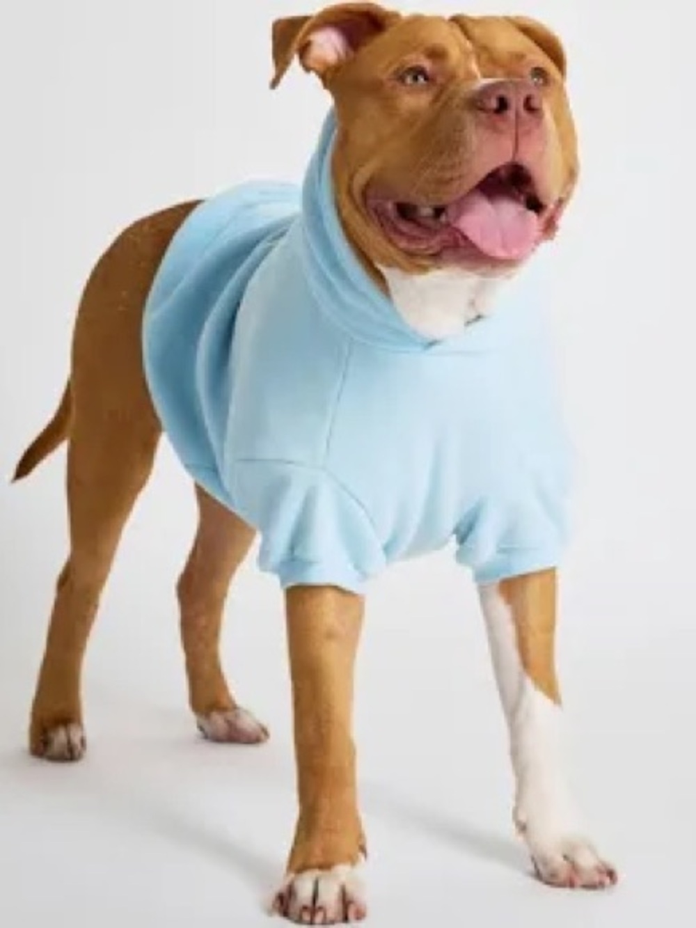 Comfort Stretch Dog Tee - Pastel Blue